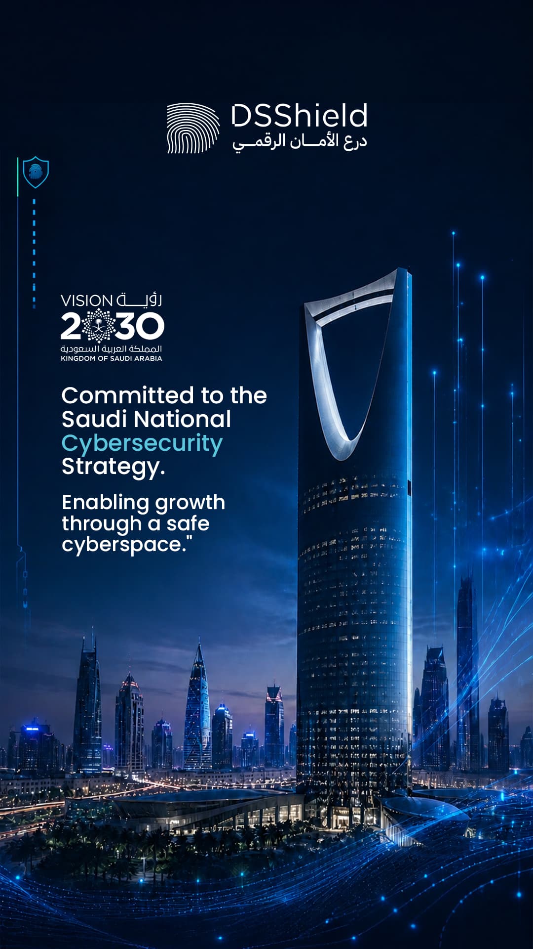 DSShield campaign creative — april