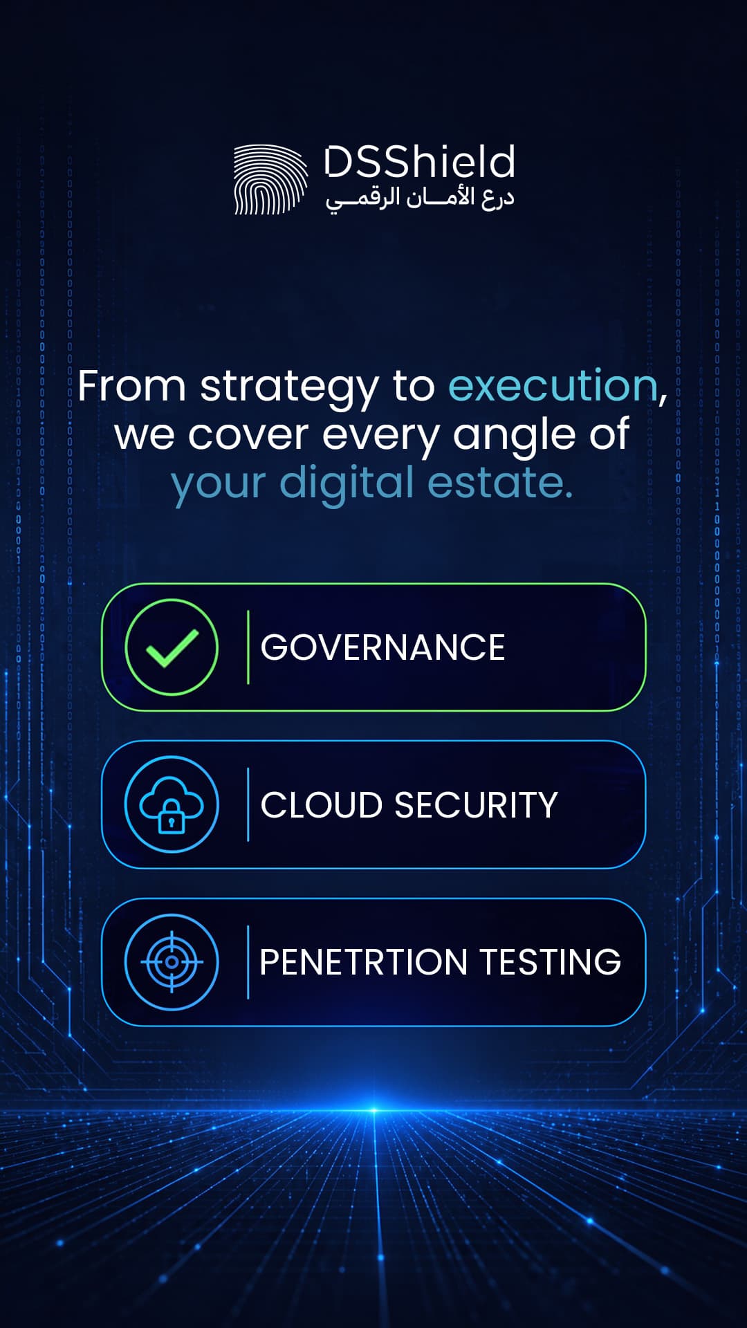 DSShield campaign creative — april