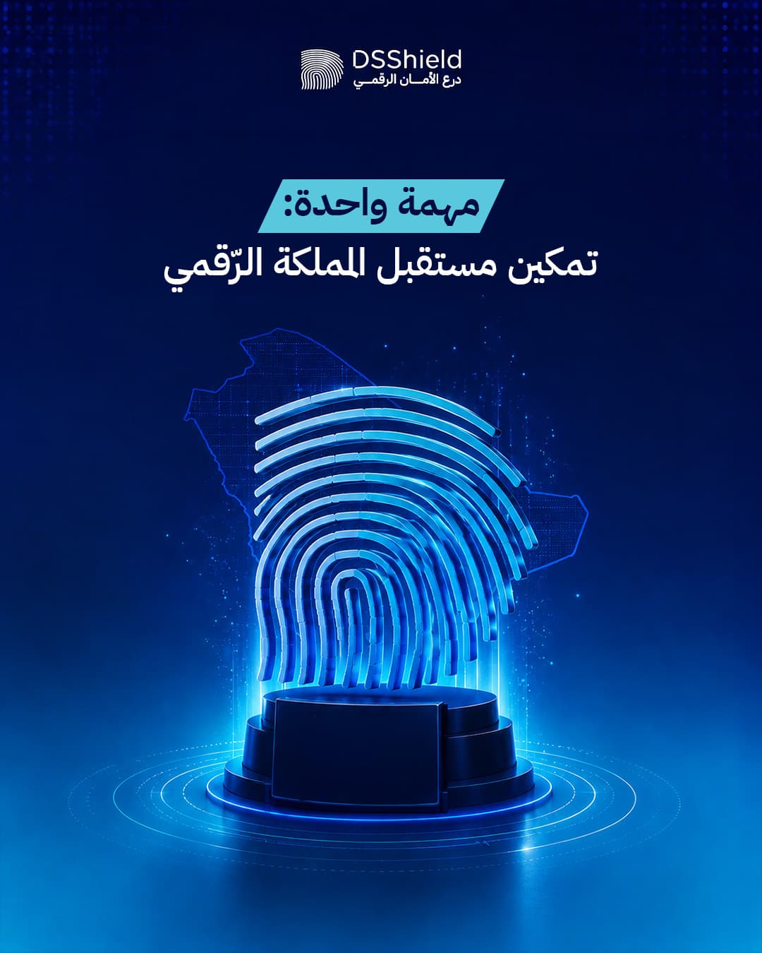 DSShield campaign creative — april