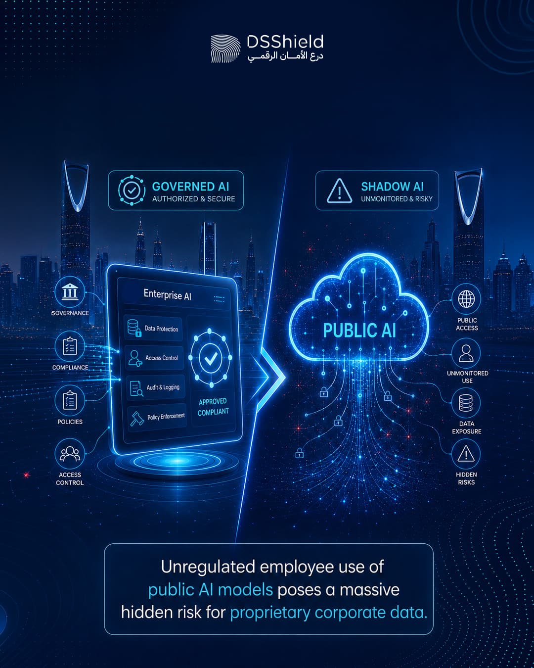 DSShield campaign creative — june