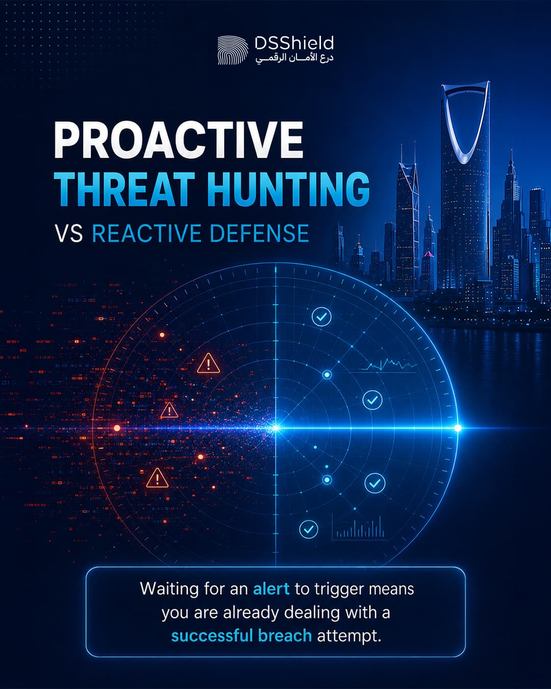 DSShield campaign creative — june