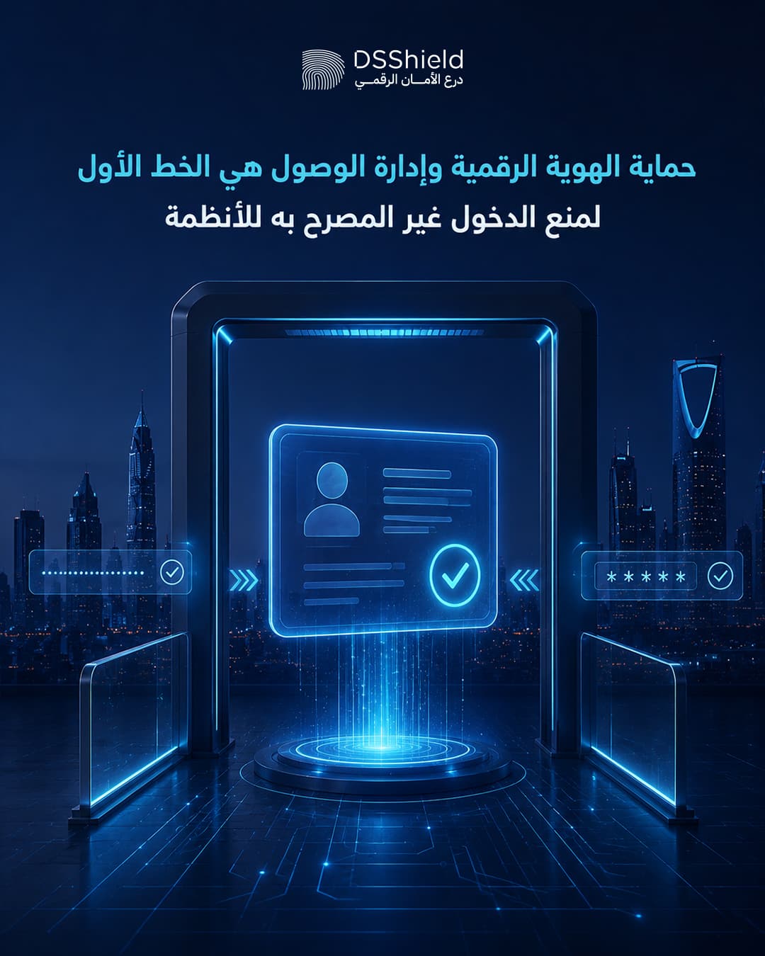 DSShield campaign creative — june