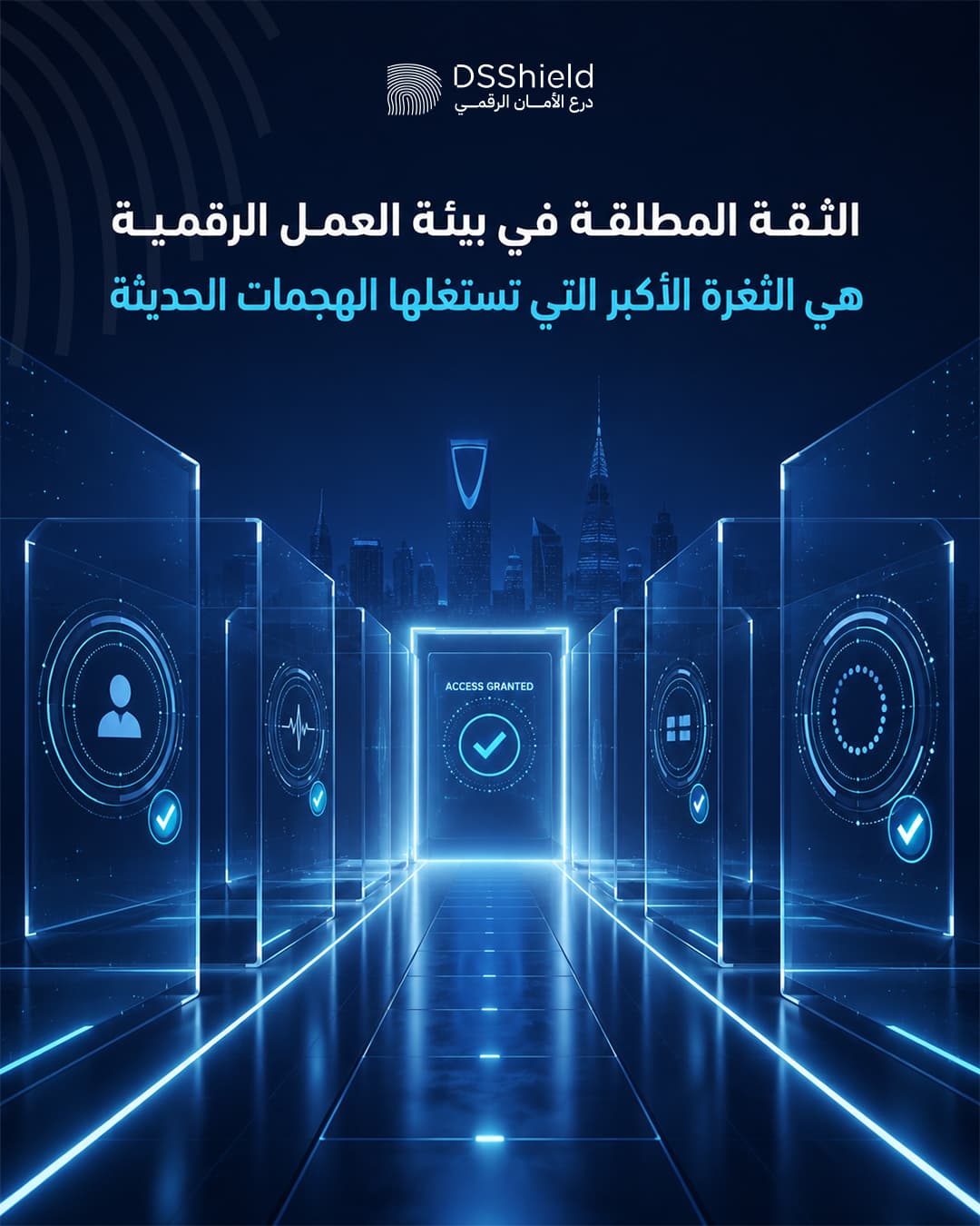 DSShield campaign creative — june
