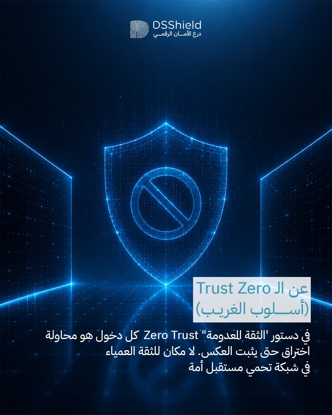 DSShield campaign creative — may
