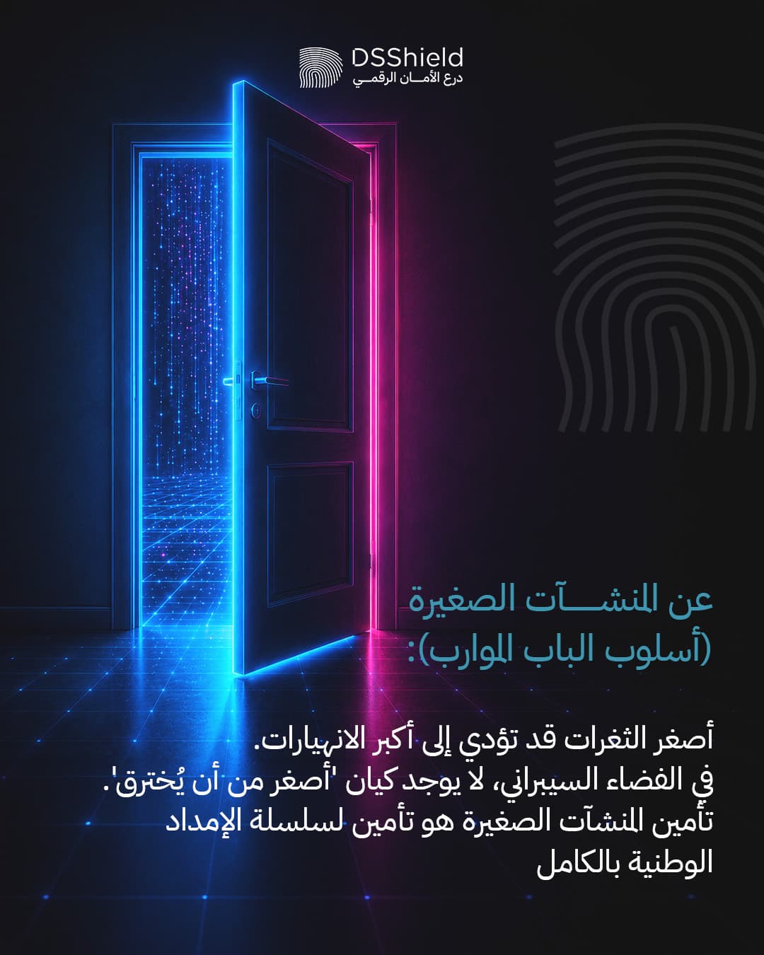 DSShield campaign creative — may