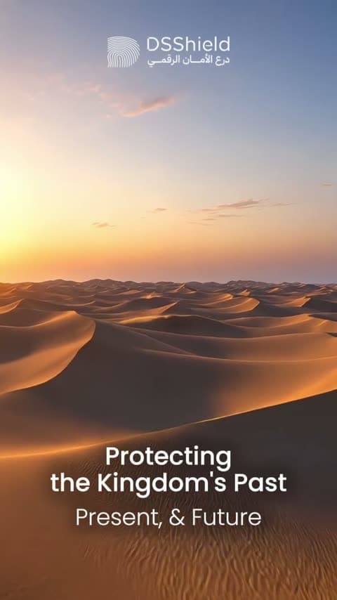DSShield campaign reel
