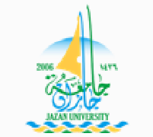 Saudi government authority